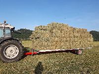 Prodam hribsko seno v kockah / bale kocke