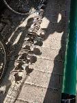 Špirala za transportni polž 120mm