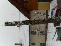 Les Hruške v hlodih