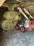 BOBCAT S100