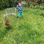 Začetniški komplet nogometni gol in žoga 120x80cm