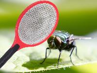 Električni lopar uničevalec insektov 51cm