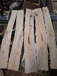 Les magnolije, suh, 62x10x2 cm, cena za kos je 2, za 5 kosov 7.50 €