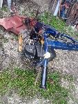 Kosor Muta Mastral z ACME motorjem