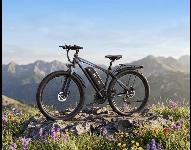 Novo elektricno kolo duotts c29 pro