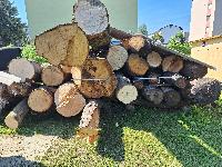Hlodovino hrasta, javorja, kostanja in jelše prodam, cena po dogovoru