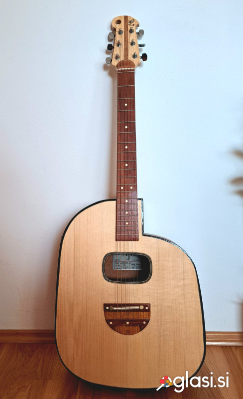 Unikatni kitari