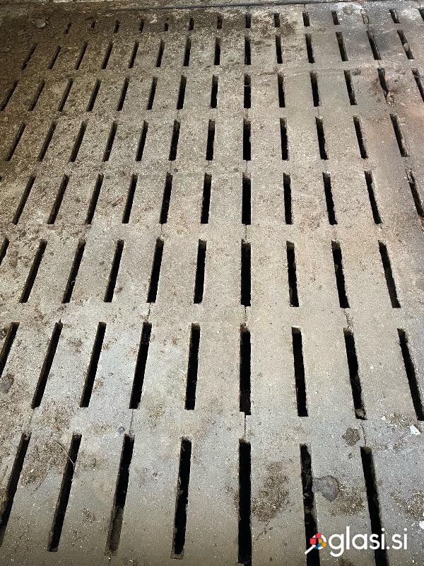Betonske rešetke za govedo hlev