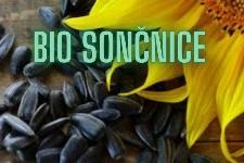 BIO SONČNIČNO SEME - 100% slovensko