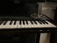 Yamaha DX7