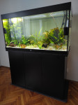 Akvarijske rastline