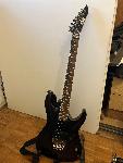 Esp ltd mh 250