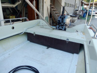 ELAN T 401 L + JOHNSON 15 + NOVA PRIKOLICA za ČOLN
