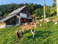 Cerkno