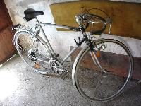 Rog Maraton Luxus