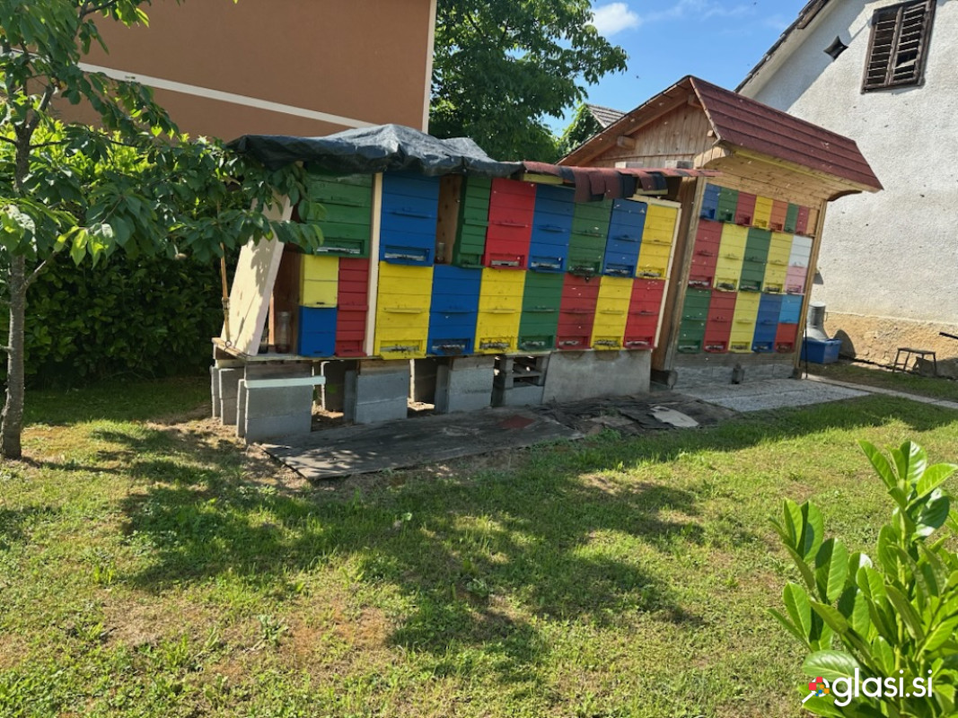 Čebelnjak
