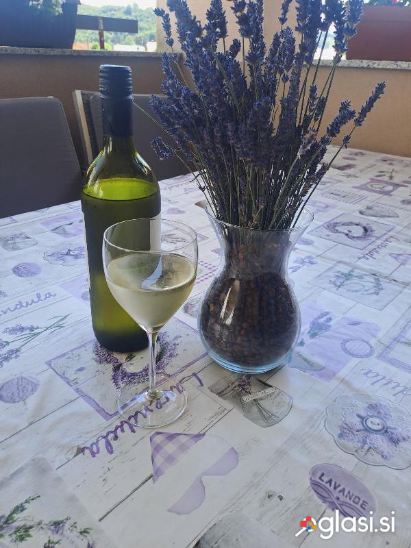 Vino  belo mešano rumeni muškat, souvignon,...