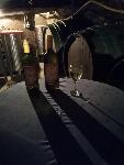 DOMAČE BELO IN RDEČE VINO IZ HALOZ