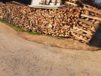 PRODAM DRVA BUKEV IN JELŠA, MOŽEN RAZREZ IN DOSTAVA