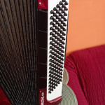 HARMONIKA HOHNER SPECIAL 120