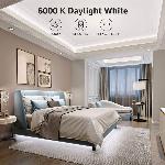 10m Set bel 6000K LED trak IP20 + zatemnilnik