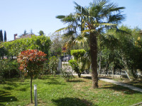 Oddam apartma ,Izola Simonov zaliv z atrijem 100