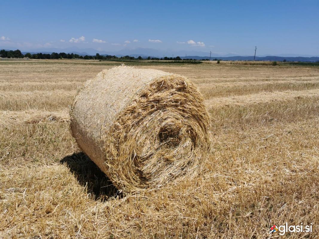 Okrogle bale slama