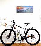 KOLO B twin Riverside500 29col
