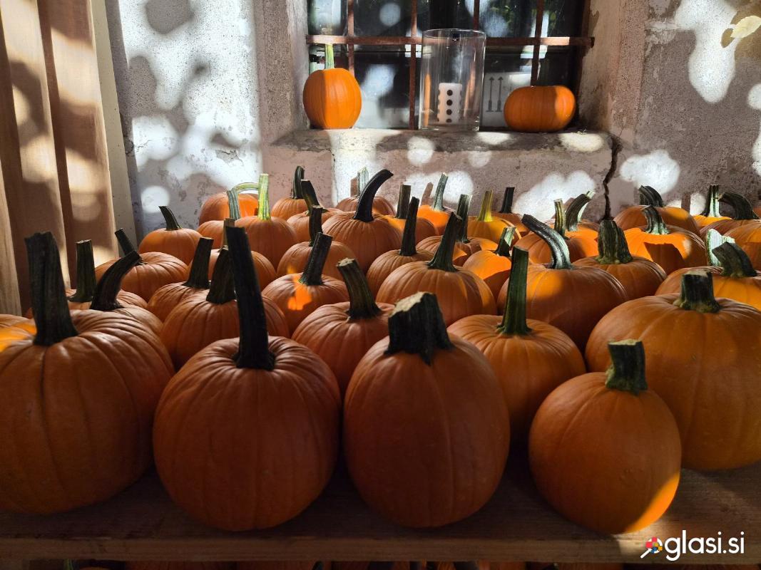 Buče za jesensko dekoracijo / Halloween