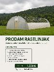 Rastlinjak