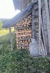 SUHA BUKOVA DRVA Zagorje ob Savi