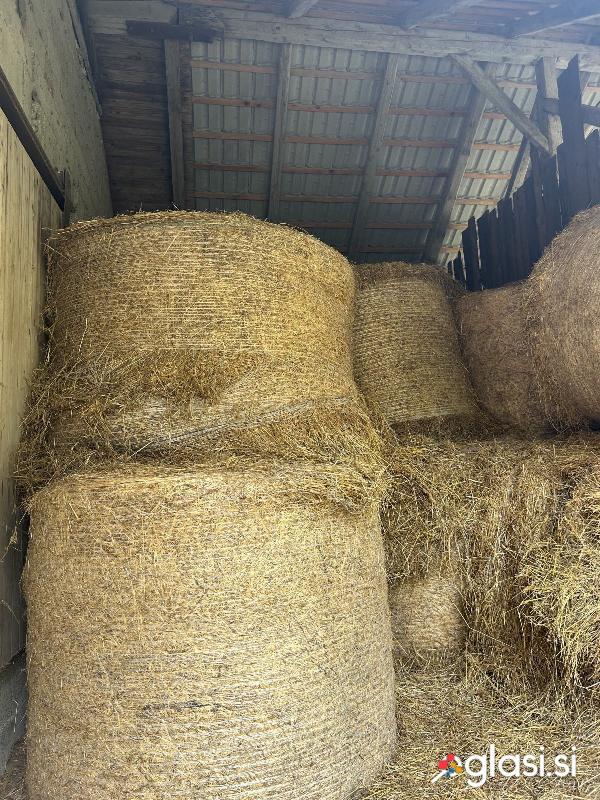 Bale sena
