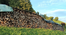 DRVA BUKOVA IN MEŠANA