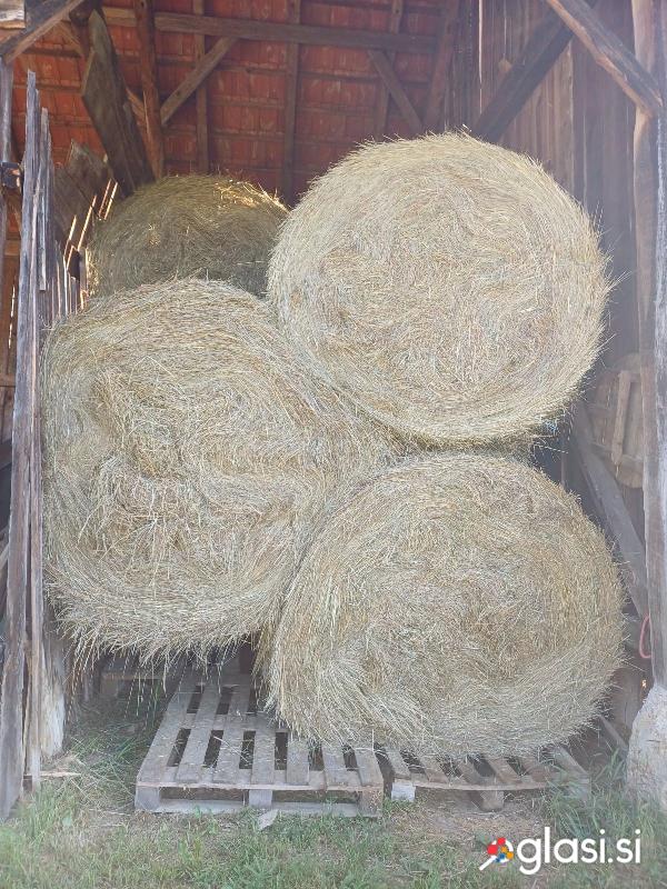 Okrogle bale sena
