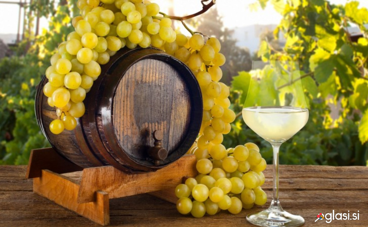 VINO
