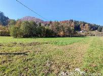 Prodamo sončno, zeleno in mirno posest, odmaknjeno od mestnega vrveža, vendar š