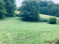 Prodaja se celotno posestvo v naravnem, ekološko neoporečnem okolju Globoke, ki 