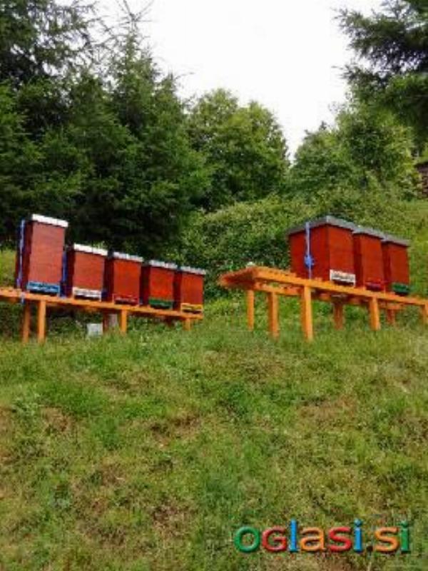 Za postavitev nakladnih čebeljih panjev potrebujem manjši kos travnika ali sredn