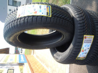 ATLANDER 225/55R19 99W LANDER ALLSEASON ATL55 M+S DOSTAVA